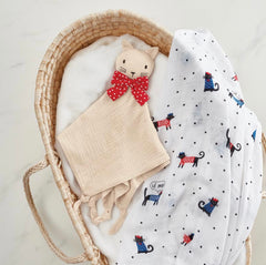 Swaddle Blankets in bag