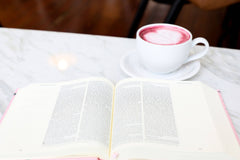 The Holy Bible - Blush, ESV Journaling Bible