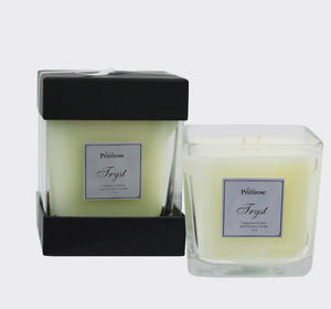 Tryst Boxed candle