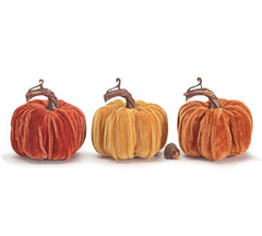 Velvet Pumpkin	small