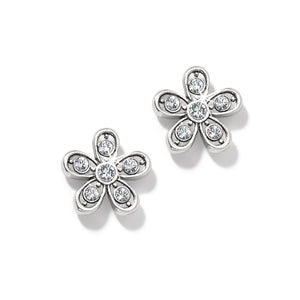 Enchanting silver post earring