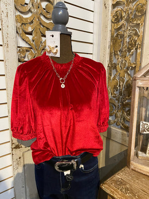 Velvet Rouched neck top