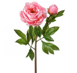 25” peony and bud stem