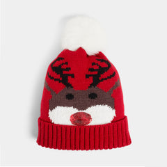 Christmas Adult Beanies/Hats